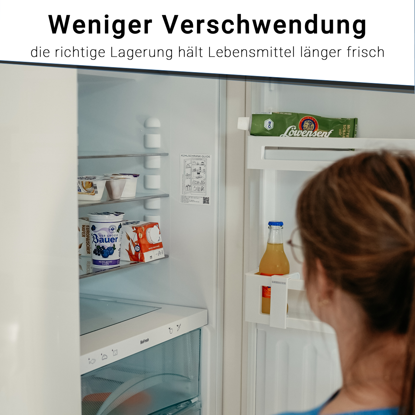Kühlschrank-Guide Sticker