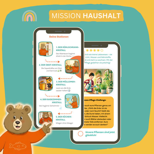 Mission Haushalt